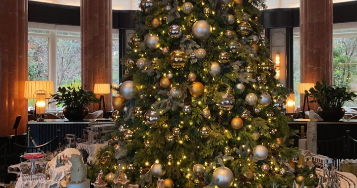 クリスマスランチ・ウエスティンホテル(2024/12)