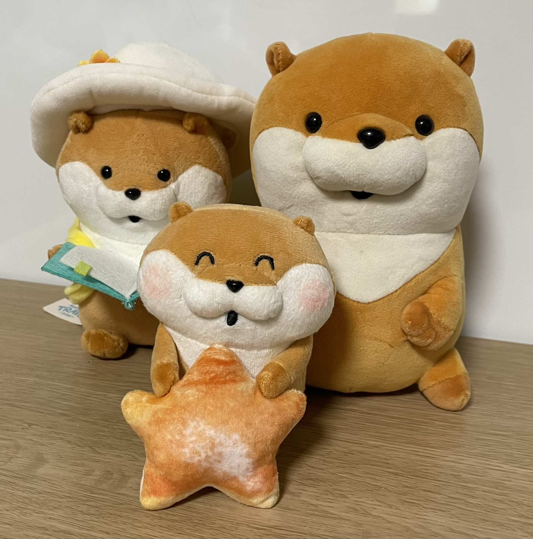 日常生活のお役立ち情報