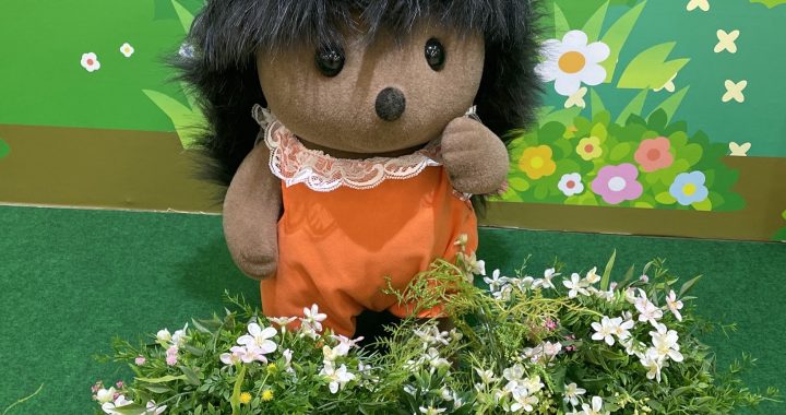 シルバニアファミリー展40th(2025/4)